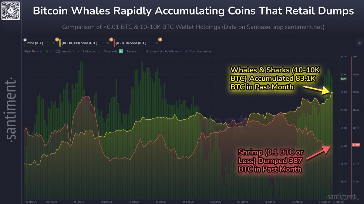 Bitcoin Illiquid Supply Hits Record $1.4 Billion with 83,105 BTC  Accumulated by Whales in Largest 30-Day Increase - 