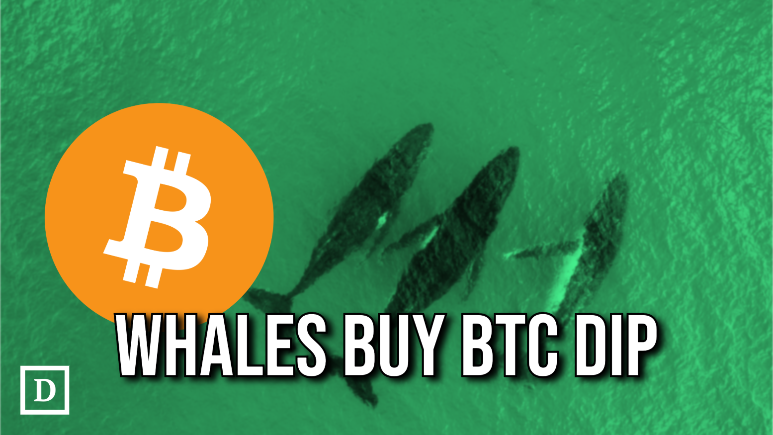 Bitcoin Nears $100,000 as Whales Snap Up $1.5 Billion - 